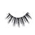 lights camera lashes™